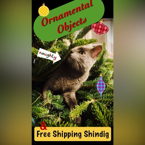 🍄”LIKE” for LIVE SHOW NOTIFICATIONS!!🍄 - Picture 6 of 6